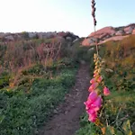 Casa Da Varanda * Carreco