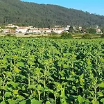 Casa Da Varanda Alojamento de Acomodação e Pequeno-almoço