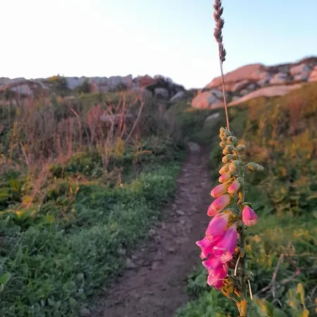 Casa Da Varanda * Carreco