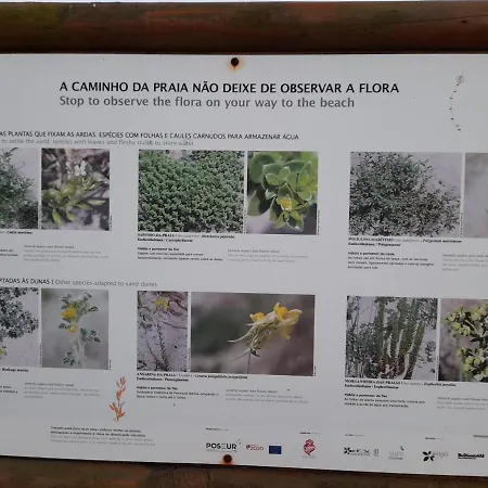 住宿加早餐酒店 Casa Da Varanda