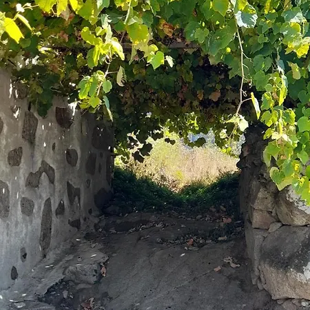 Casa Da Varanda 住宿加早餐酒店