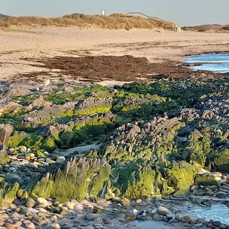 Casa Da Varanda * Carreco