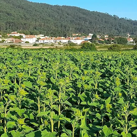 Casa Da Varanda Bed & Breakfast