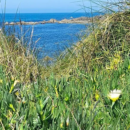住宿加早餐酒店 Casa Da Varanda *