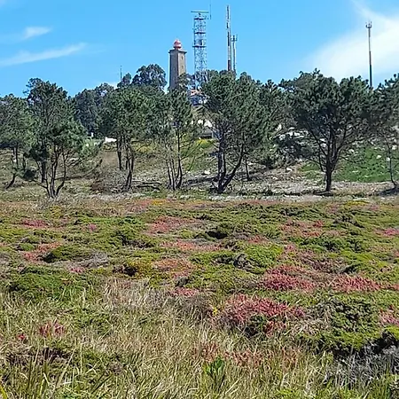住宿加早餐酒店 Casa Da Varanda Carreco