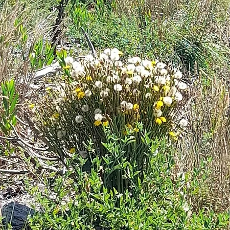 Bed & Breakfast Casa Da Varanda *