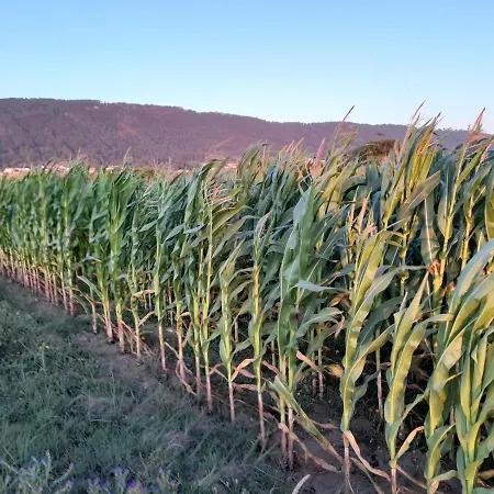 Casa Da Varanda Bed & Breakfast *