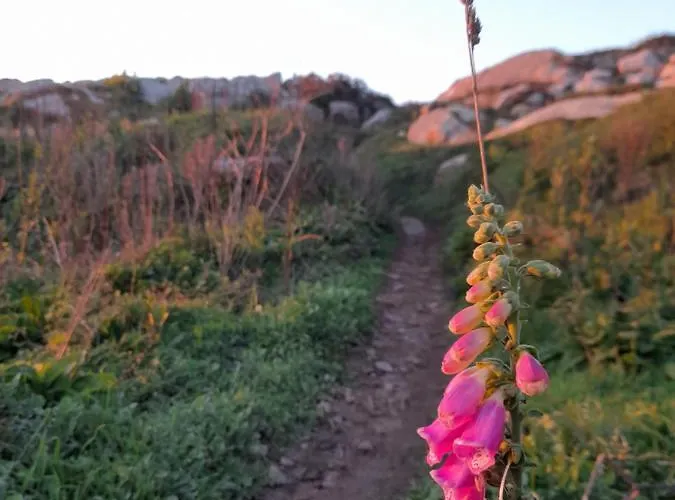 Casa Da Varanda * Carreco