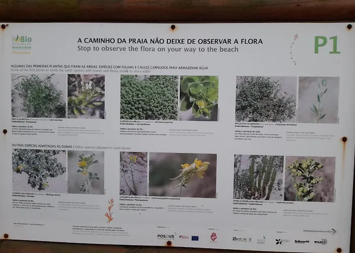 Bed & Breakfast Casa Da Varanda