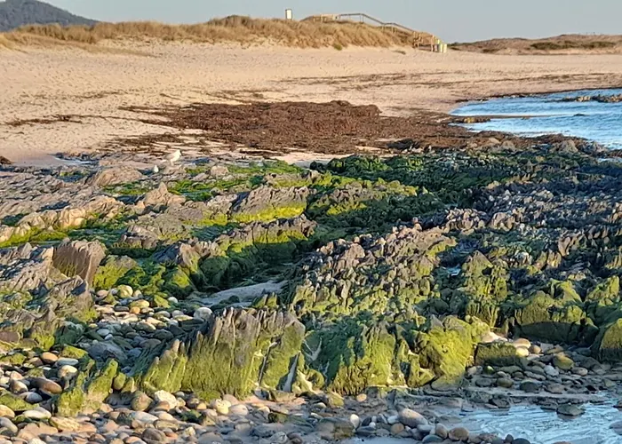 Casa Da Varanda * Carreco