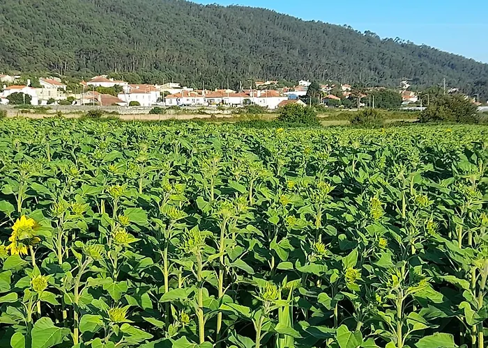 Casa Da Varanda Bed & Breakfast