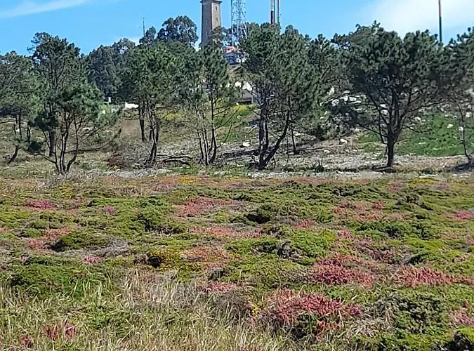 Bed & Breakfast Casa Da Varanda Carreco