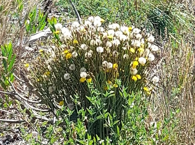 Bed & Breakfast Casa Da Varanda *